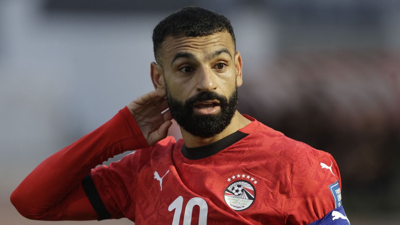FIFA要求埃及去掉球衣七颗星 世界杯前调整号码配色